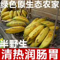 广西农家绿色产品原生态特产－半野生自然熟香蕉无催熟剂10斤包邮
