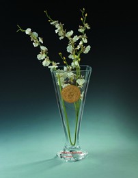 捷克水晶花瓶 瓦莎琪 进口 高档欧式玻璃花瓶摆件 大号富贵竹花瓶
