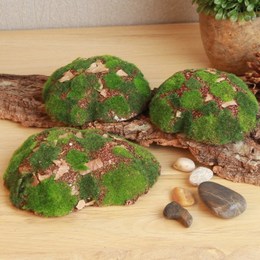 高仿真苔藓假石头苔藓绿色石头DIY装饰材料仿真植物苔藓树叶球块