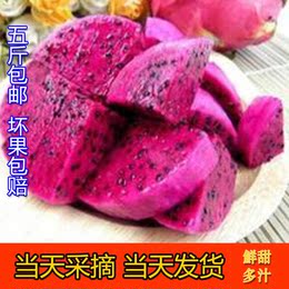 越南红心火龙果进口热带水果 红肉火龙果龙珠果 新鲜水果当天发货