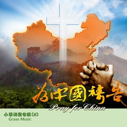 《为中国祷告》小草诗歌专辑DVD8