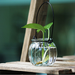 满包邮蓝枫南瓜吊瓶瓶玻璃水培容器插花瓶水培吊瓶植物吊瓶花盆