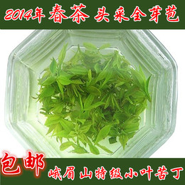 2015新茶上市 峨眉山茶 独芽特级青山绿水小叶苦丁茶叶 250克包邮
