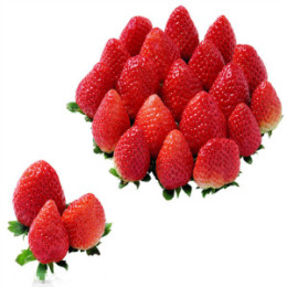 现货 新鲜大草莓2斤顺风包邮 露天冬草莓 攀枝花草莓新鲜水果草梅