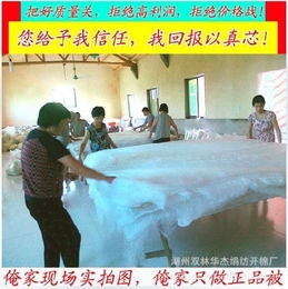 企业集采2013新品 桑蚕丝 质量保证厂家直销  双宫机制丝棉