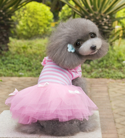 萨摩幼犬泰迪贵宾比熊小型犬条纹网纱蓬蓬裙子宠物衣服夏季服装