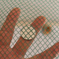 【丹丹园艺】养鸭网 养鹅网养鸡网 防护网 防鸟网 爬藤网 塑料网