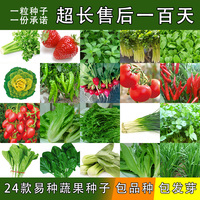 四季蔬菜种子阳台盆栽庭院春夏秋季播菜籽花卉水果草莓韭香菜
