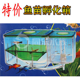 清仓特价 鱼苗隔离盒 鱼苗产卵箱 孵化盒 孔雀繁殖箱 小型鱼鱼缸