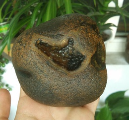 天然马达加斯加玛瑙原石籽料精品花纹象形手把件摆件奇石观赏石
