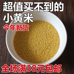 东北山区有机 黄小米 月子米 小米子 宝宝米 无化肥农药 250g