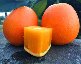 【攻城橙】正宗秭归脐橙纽荷尔脐橙 新鲜水果 橙子 5斤29.9元包邮