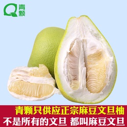 【青颗】台湾麻豆文旦柚子4斤装约3-5个进口新鲜水果顺丰包邮现货