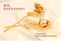 金玫瑰花金苹果 摆件24k玫瑰花纪念日生日礼物金箔金玫瑰送女友