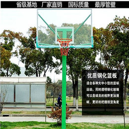 篮球架户外篮球架室外标准成人移动篮球架学校 厂家直销