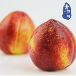应季陕西特产当日采摘新鲜纯天然有机大油桃3斤水果1500g包邮