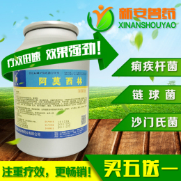 阿莫西林原粉 98%可溶性水产猪药鸡药龟羊用药 1kg/10包消炎特效