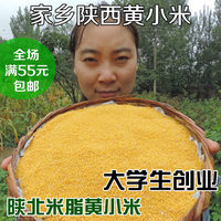 农家自种黄小米 月子米农家 陕北米脂黄小米 五谷杂粮小米粥