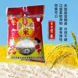 大米2015新米农家自产纯天然无污染有机贡米不抛光软香米5kg包邮