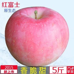 山东烟台栖霞红富士苹果75 特产新鲜水果冰糖心香甜好吃 5斤特价