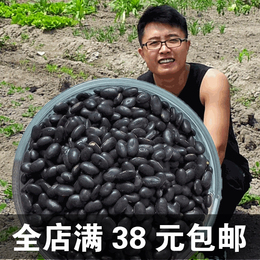 2015新黑豆农家自产有机非转基因纯天然补肾乌发养生豆浆500g