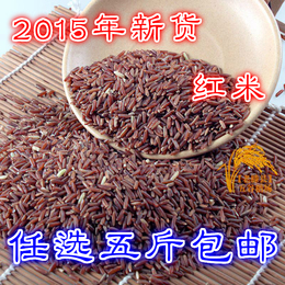 农家自产有机红米 女性滋补佳品红米五谷稀有杂粮250g