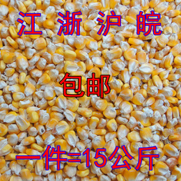 2015年农家干玉米粒 玉米籽粗粮批发 鸽子鸡鸭鸟宠物饲料30斤包邮
