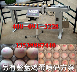 艾迪捷鸡蛋喷码机 打码机 生产线鸡蛋自动生产日期打码 商标打码