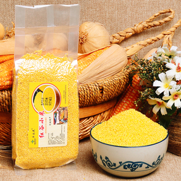 红谷黄小米2015新米农家小黄米正宗自产月子米有机新米250克两包