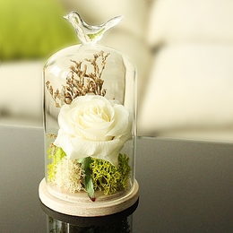 zakka永生花摆件玻璃罩创意家居客厅工艺装饰品摆设生日结婚礼物