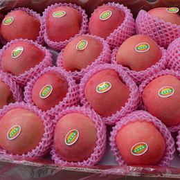 山东烟台栖霞红富士苹果85 特产新鲜水果冰糖心香甜好吃 10斤特价