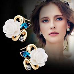 新款 韩国耳环珍珠耳钉女 气质个性纯银耳钉 韩版时尚耳环饰品