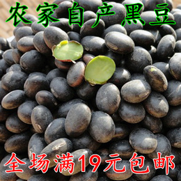 绿芯黑豆沂蒙山农家自产黑豆粗粮250g 大粒绿心黑豆满包邮