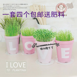 Girlwill love栽培 创意办公室DIY植物四季可种 爱的表白七夕礼物