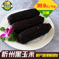 【都都鲜果】山西沂州黑玉米10根装真空热下即食新鲜紫糯玉米