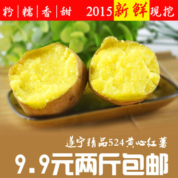 2015四川遂宁新鲜红皮黄心红薯同临安天目小香薯地瓜番薯2斤包邮