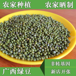 天然新鲜有机小绿豆杂粮土特产250g明绿豆特价