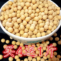 大豆 黄豆 豆浆 专用 非转基因生豆芽500g东北大豆