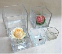 2015新品方钢烟灰水培 花盆小鱼缸水仙风信子创意玻璃的 花瓶器皿