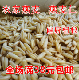 农家优质燕麦米燕麦仁野麦雀麦500g超低价 粗粮 健康食品 一斤装