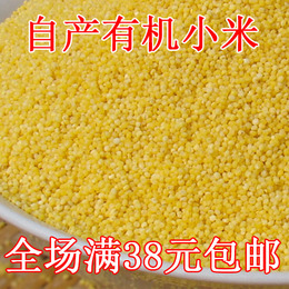 250g 沂蒙山农家 黄小米月子小米小黄米宝宝米杂粮 粮食熬小米