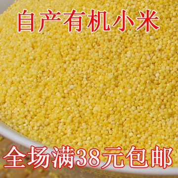250g 沂蒙山农家 黄小米月子小米小黄米宝宝米杂粮 粮食熬小米