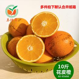 马蹄岗 赣南脐橙10斤花皮橙 榨汁橙赣州寻乌手剥甜橙子新鲜丑水果