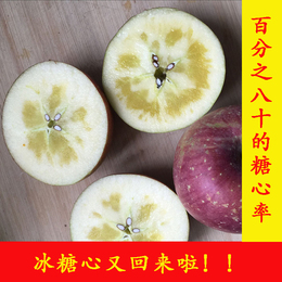 包邮四川汉源冰糖心苹果红富士丑苹果应季水果12个80#精装五斤