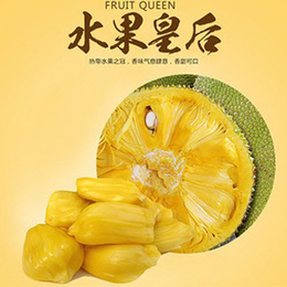 正宗泰国进口木菠萝 新鲜干包热带水果菠萝蜜 假榴莲15斤起拍包邮