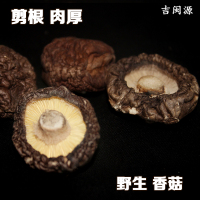 香菇干货 无根冬菇福建莆田特产食用菌金菇3-4cm250g2件包邮