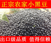 东北特产农家黑豆绿色 非转基因黑豆 绿仁绿芯 原产地发货黑豆