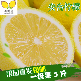 鲜果四川安岳生态养生美容柠檬尤力克新鲜一级黄柠檬5斤包邮