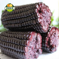 【都都鲜果】山西沂州黑玉米10根装新鲜紫糯玉米真空热下即食