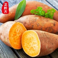 [正黔方]贵州天然新鲜蔬菜 原生态种植红薯 无化肥农药 500g